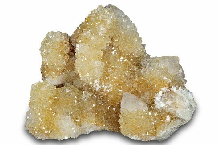 Sparkling Cactus Quartz Crystal Cluster - South Africa #303468